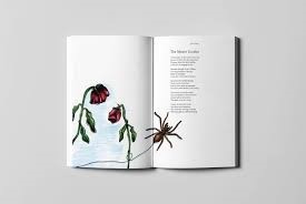 Book Slider